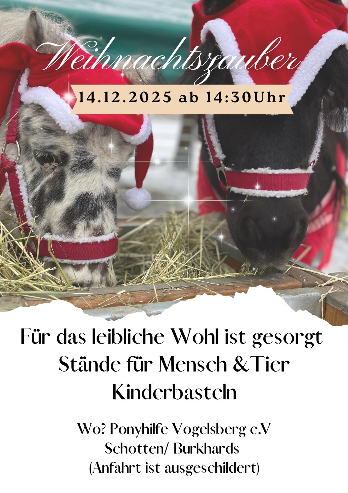 Weihnachtszauber 2026
